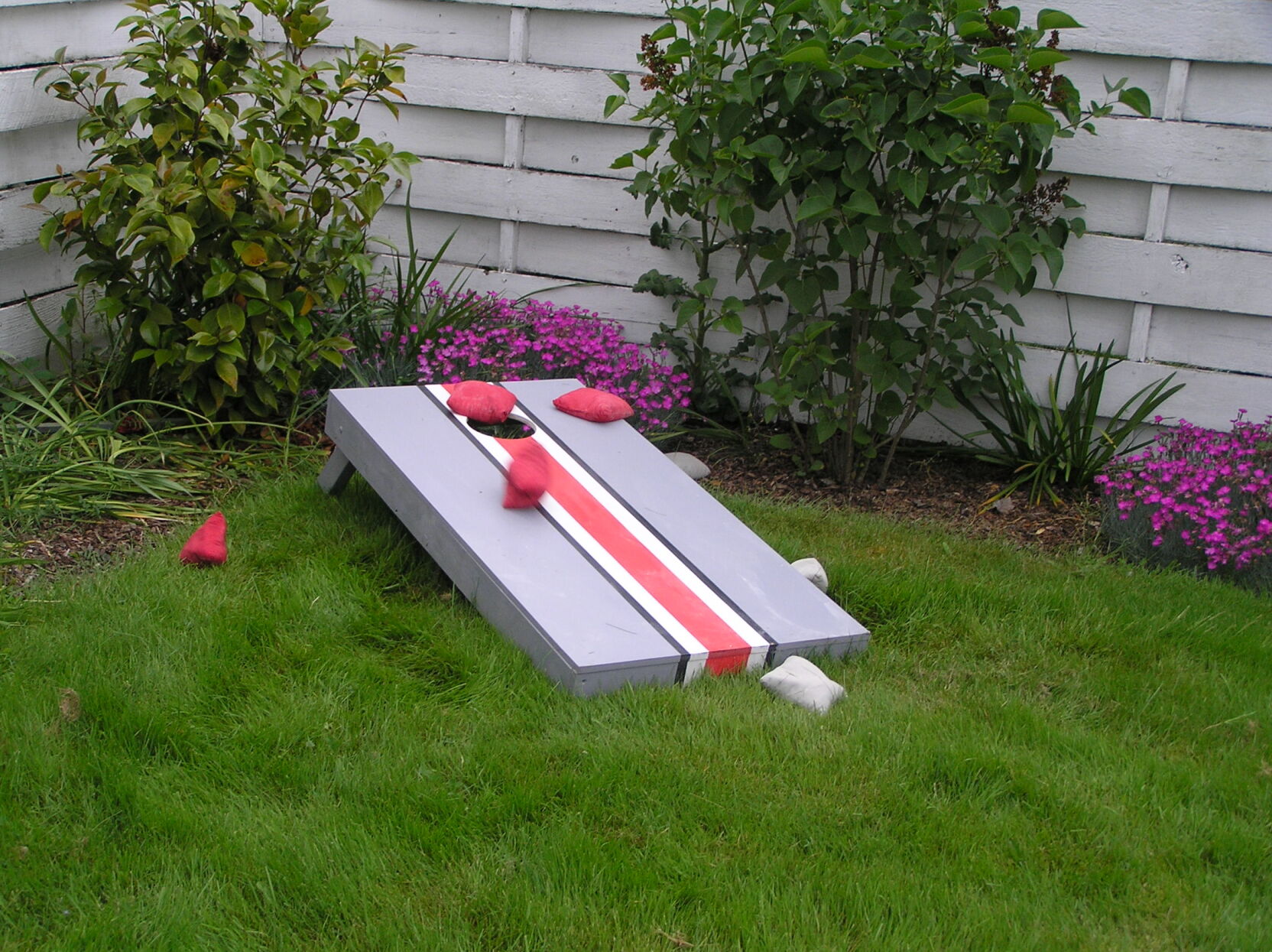 cornhole